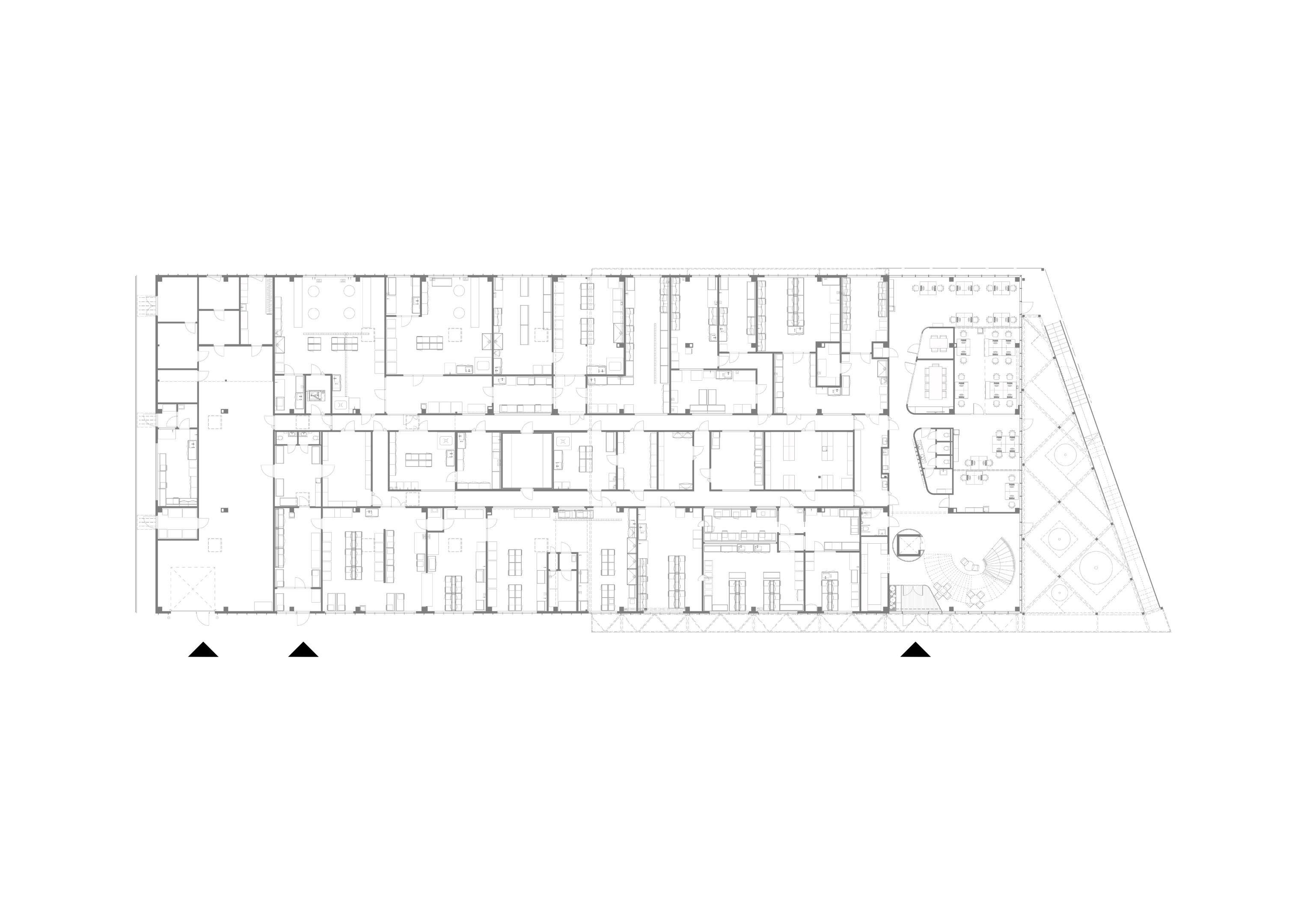 Solis BioDyne