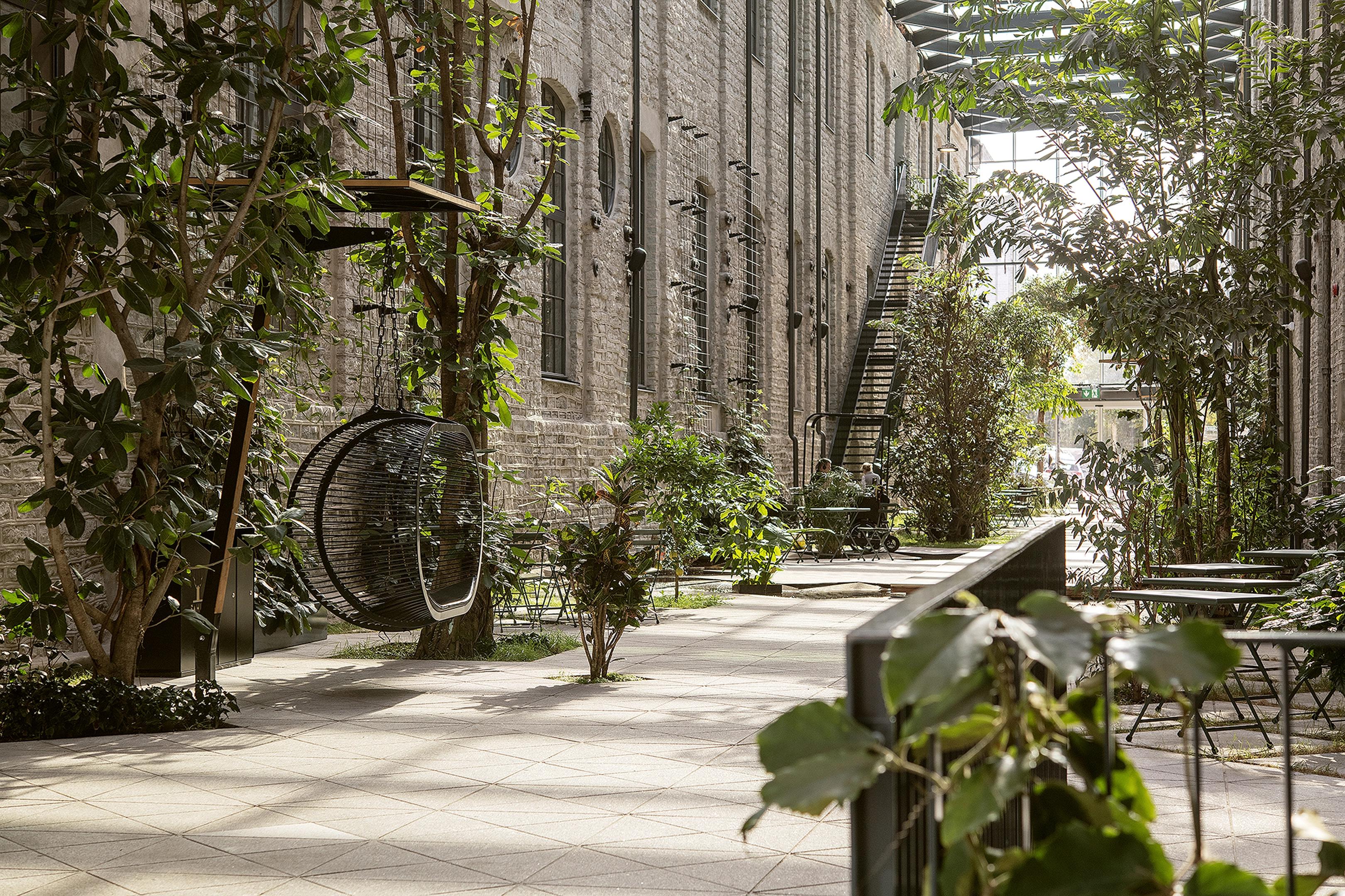 Lush green public space of Fahle gallery with lots of plants