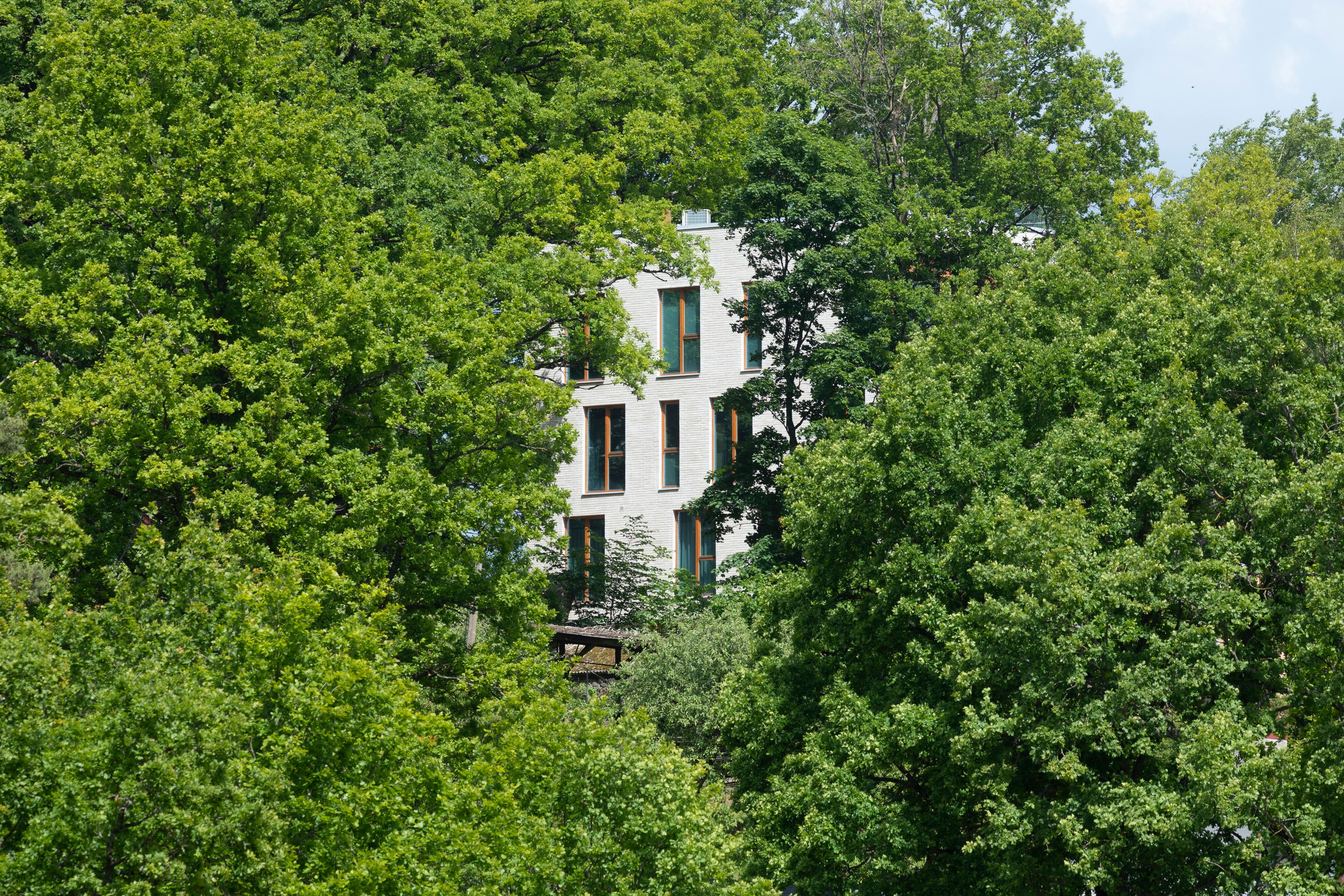 Oru villa in the greenery of Viljandi town
